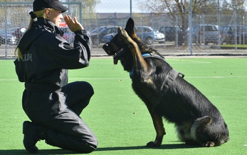 Ziua Poliţiei Române în Vâlcea
