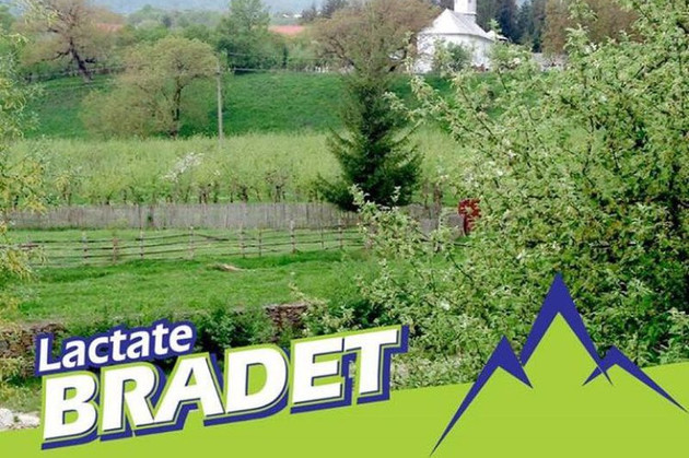 Produsele lactate Brădet revin în atenţie (audio)