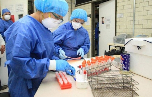 Noi cazuri de gripă porcină