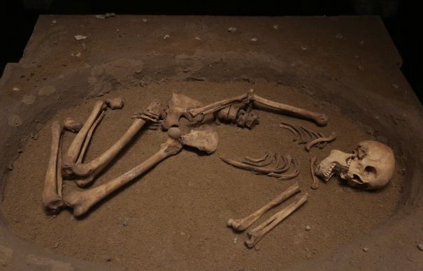 Ion Ficior a fost condamnat (audio)