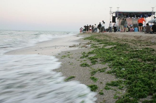 Spațiu de triere a imigranților la Vama Veche (audio)