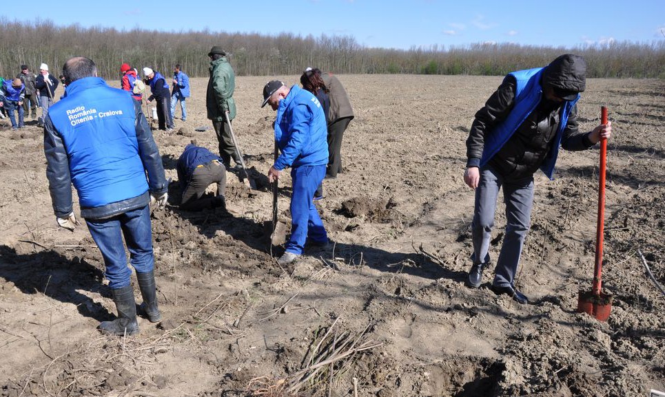 Radio Oltenia- Craiova sustine „Luna Pădurii 2016”!