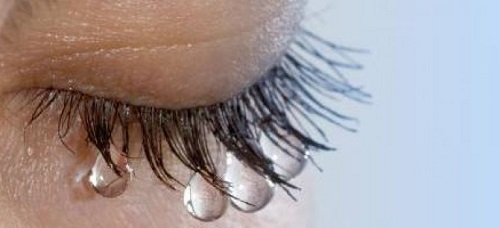 Apel al ONG-urilor, de Ziua Internațională a Femeii