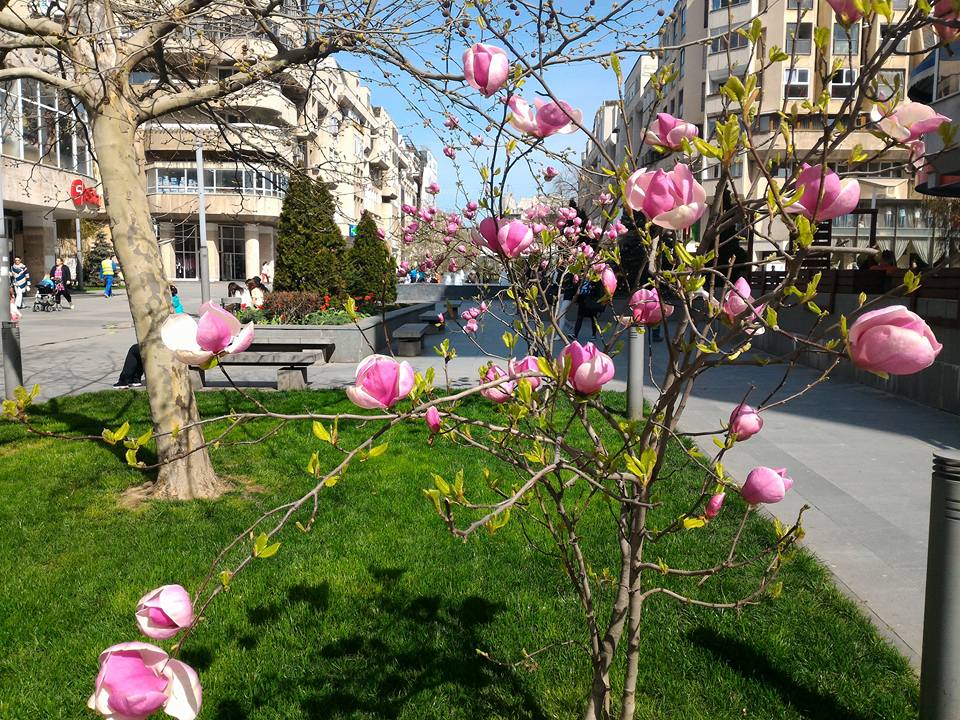 METEO Vremea se raceste treptat in Oltenia