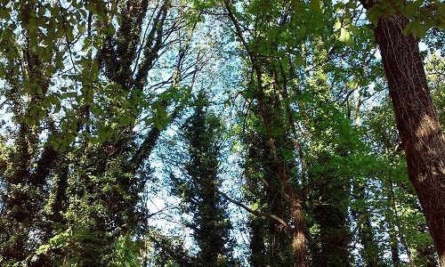 Azi despre ieri – 7 mai 2016