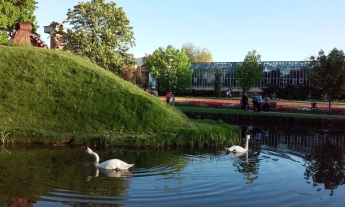 Azi despre ieri – 25 mai 2016