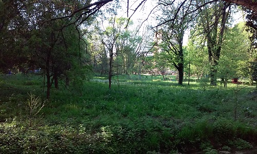 Azi despre ieri – 26 mai 2016