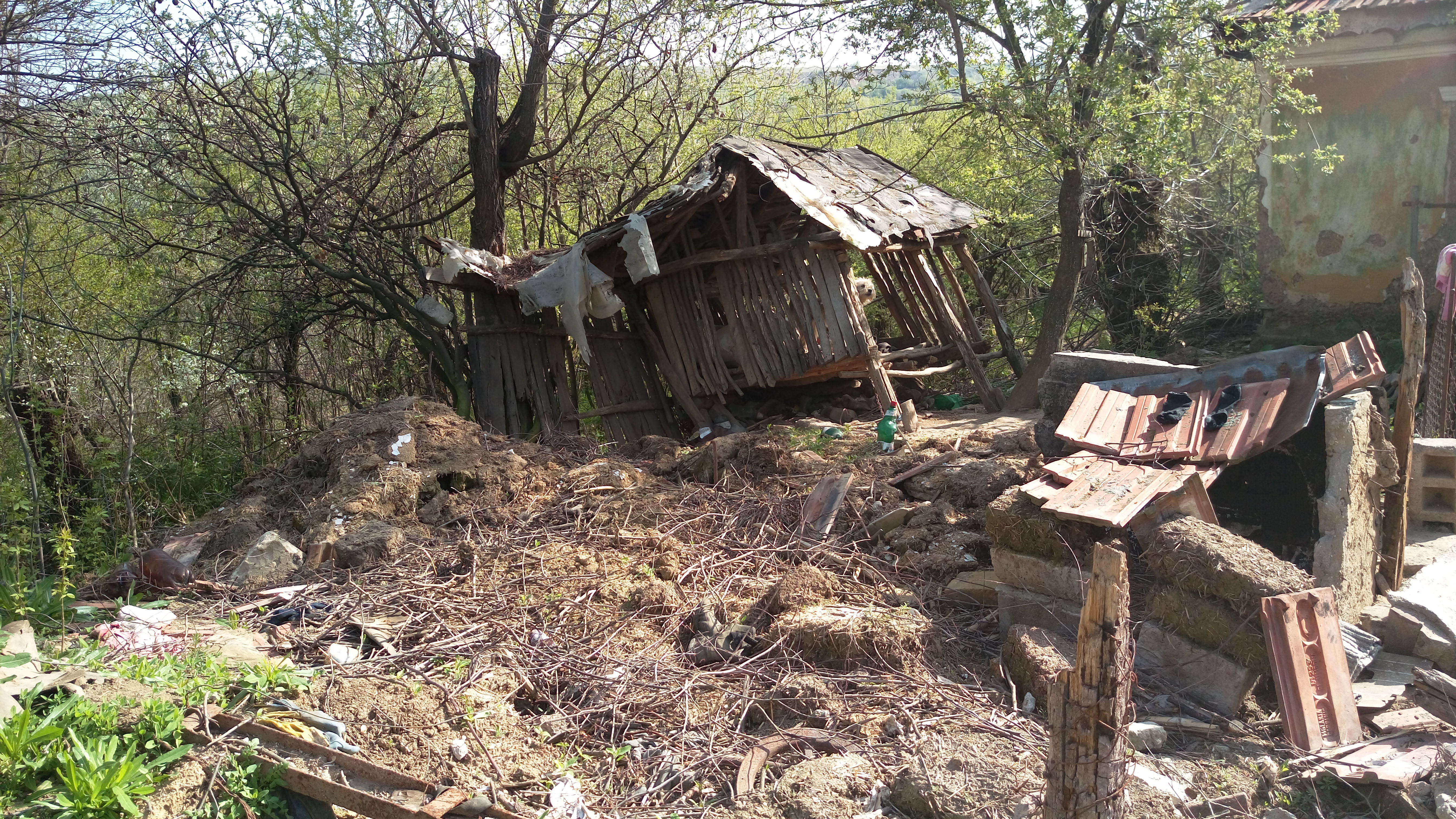 Slașoma – ultima frontieră (reportaj)