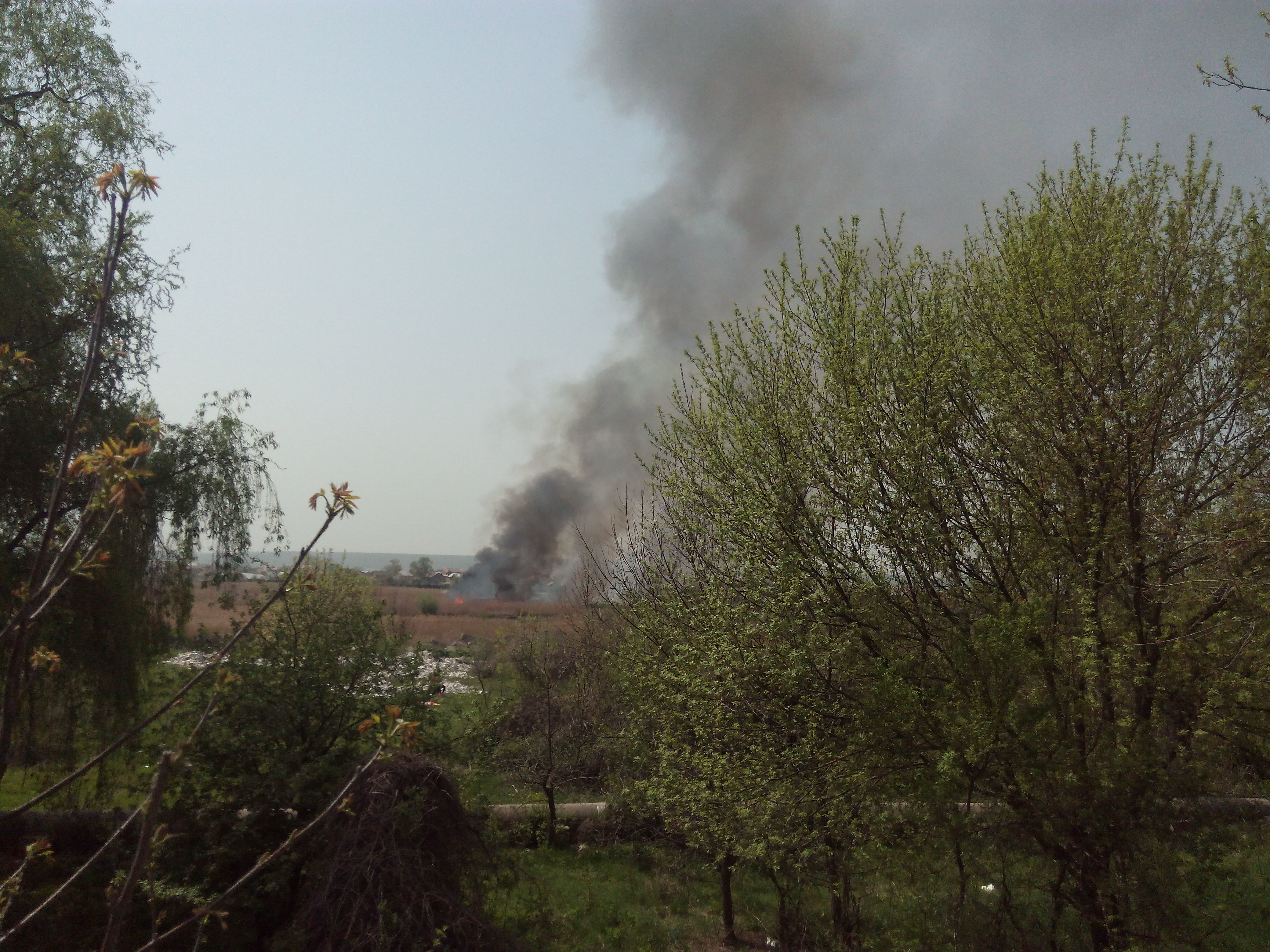 UPDATE Pompierii craioveni lupta sa stinga incendiul de la Balta Craiovita