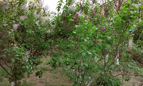 Azi despre ieri – 15 aprilie 2016