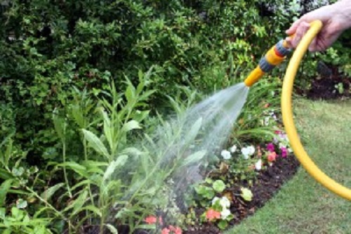 Restricții de apă în Dăbuleni