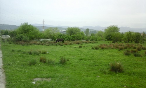 Azi despre ieri – 25 aprilie 2016