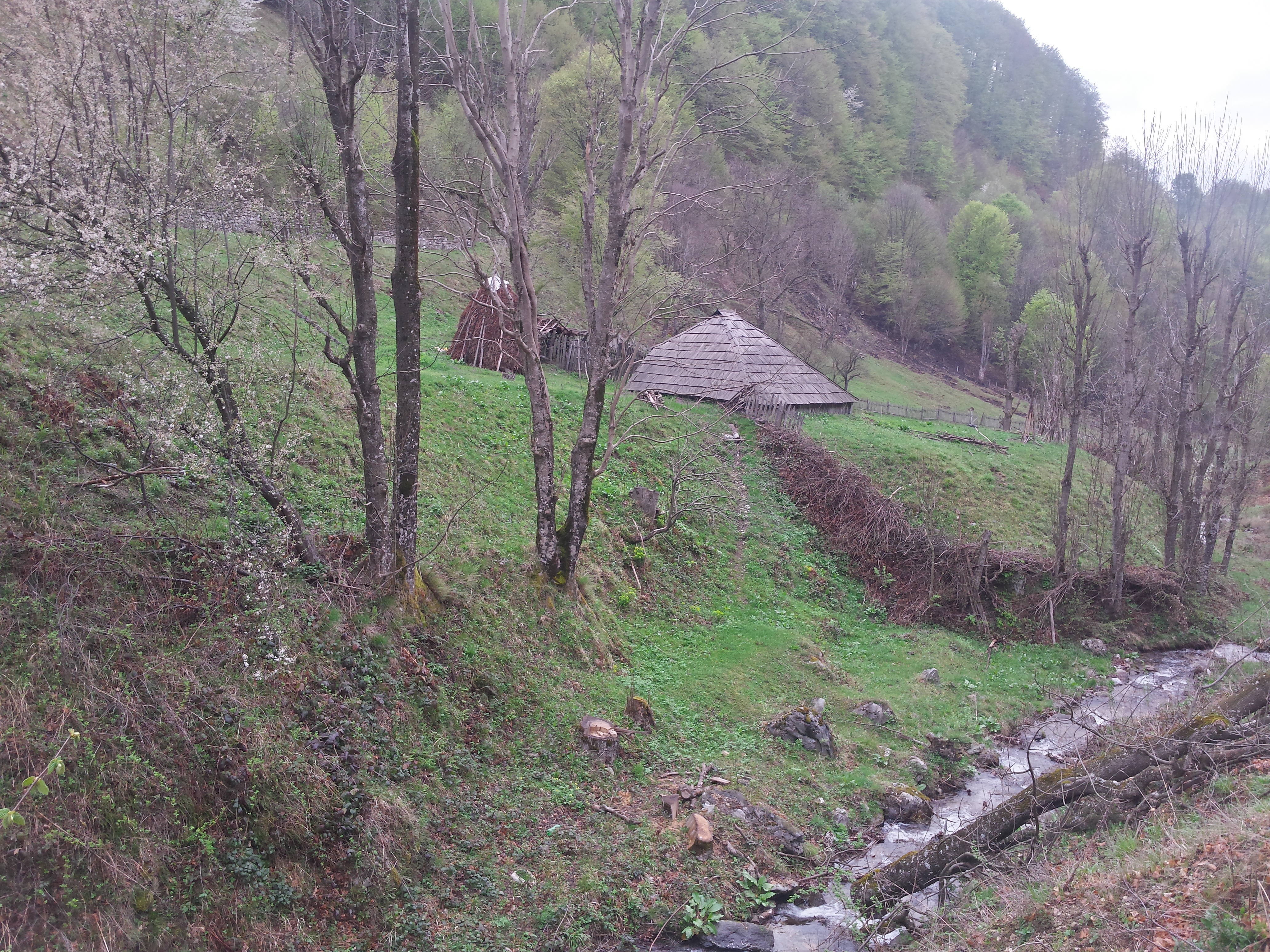 Poveştile clipei: „Casa îngropată sub voaluri de humă și triluri de stele”