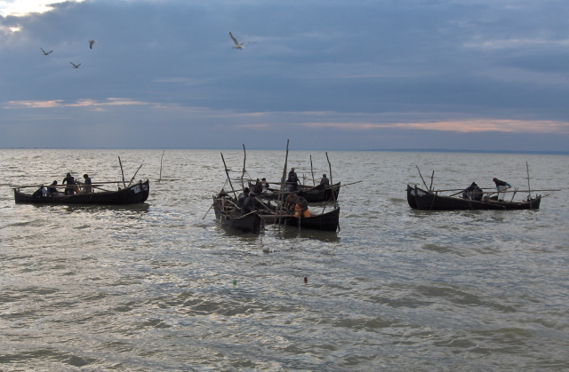 Pescuit interzis pe Razim