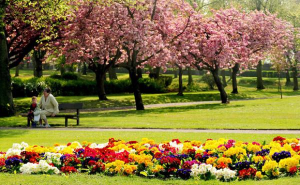 METEO Temperaturi de vara in Oltenia!