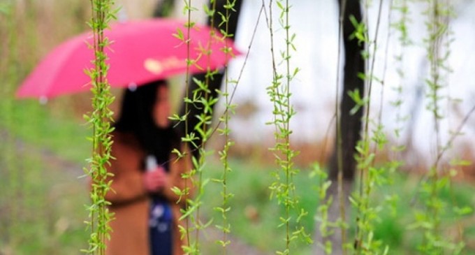 Afla cum va fi vremea de Florii, ca sa stii cum va fi si de Paste!