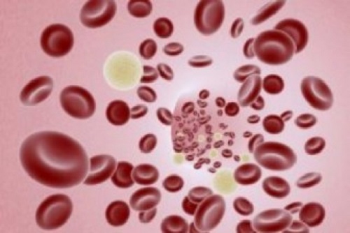 17 aprilie: Ziua de luptă împotriva hemofiliei