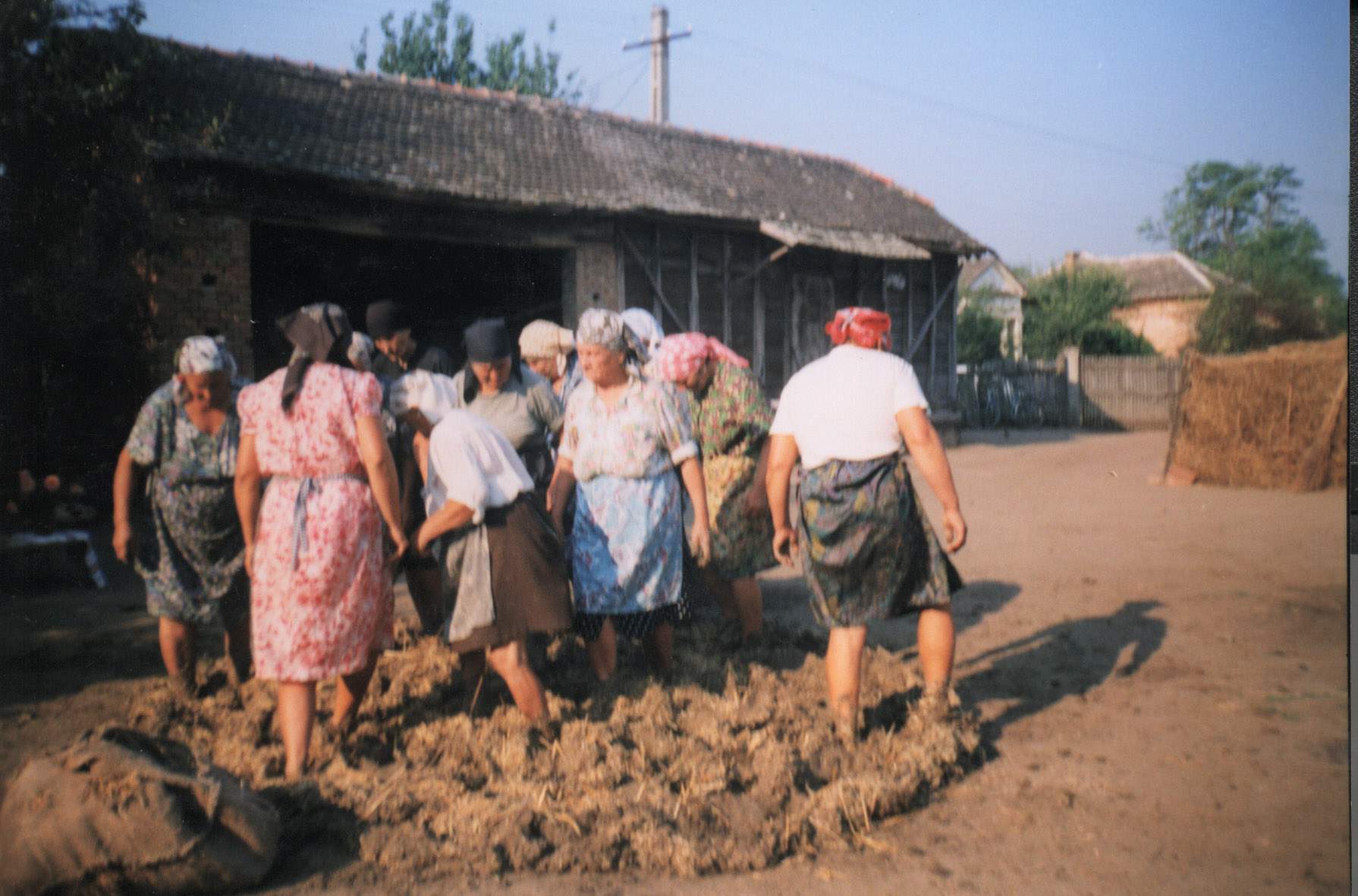 11 MAI – ROPOTITUL TESTELOR