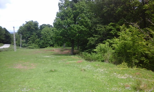 Azi despre ieri – 16 iunie 2016