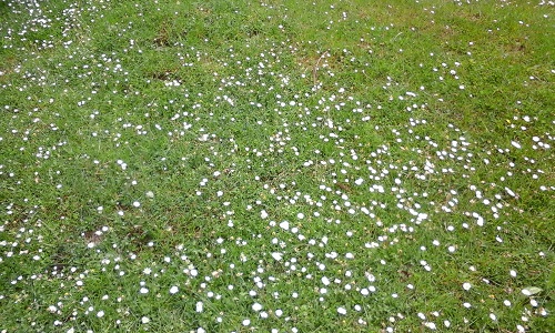 Azi despre ieri – 12 iunie 2016