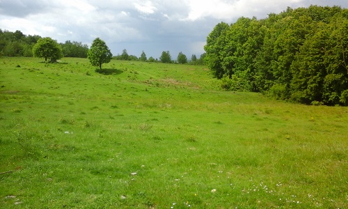 Azi despre ieri – 18 iunie 2016