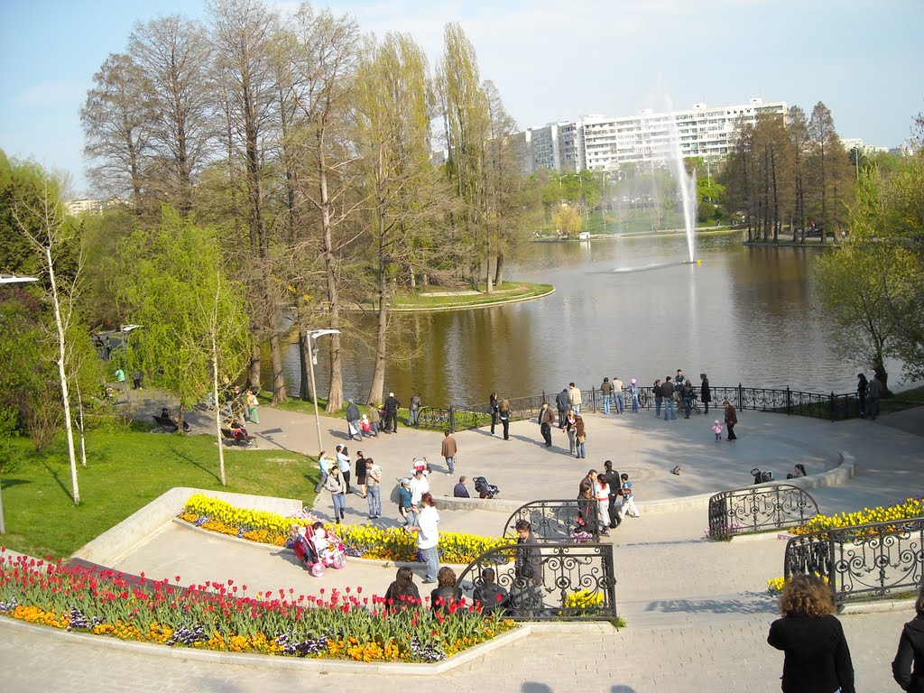 Aleea Exploratorilor Spatiului Cosmic, inaugurata la Bucuresti