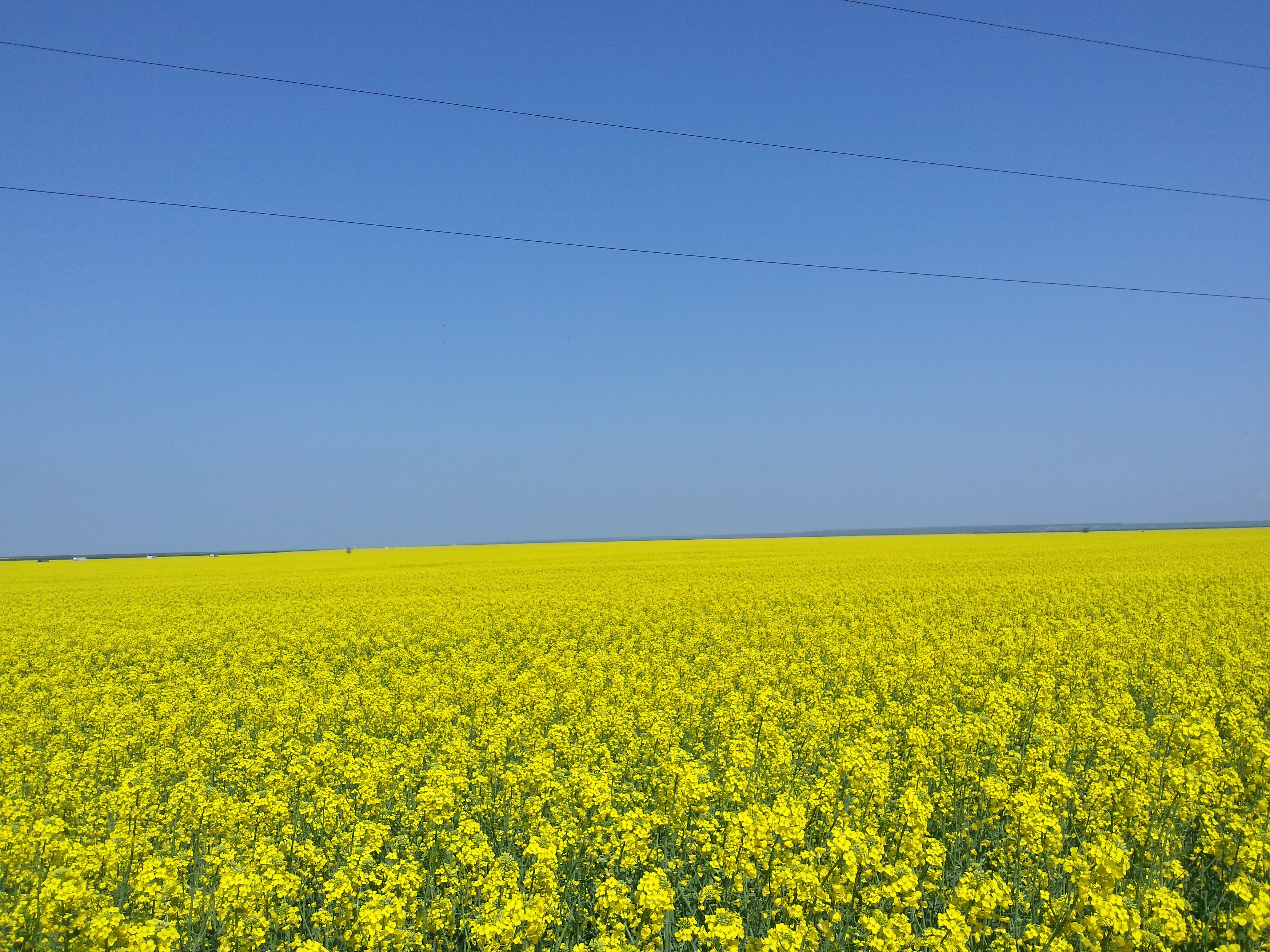 Poveştile clipei: „Undeva, dincolo de bine şi rău, există un câmp imens”