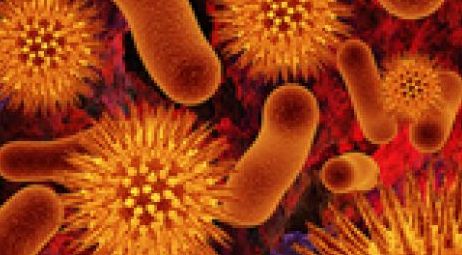 Cancerul poate fi tratat