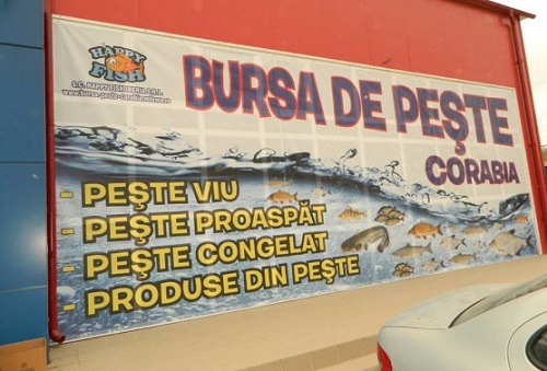 Bursa de peşte din Corabia şi-a început activitatea