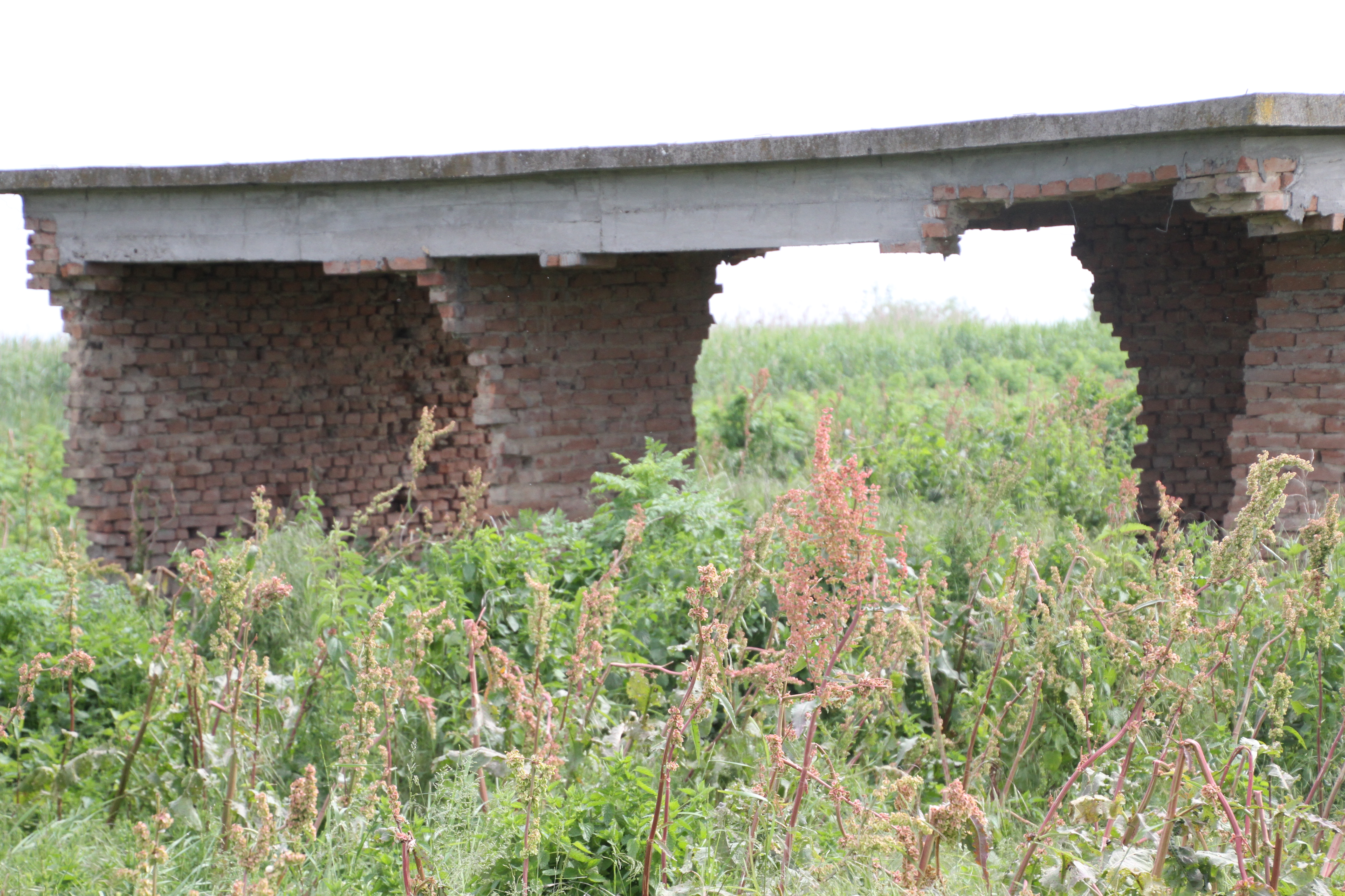 Poveştile clipei: „Eternităţile prăbuşite sub povara propriilor iluzii”