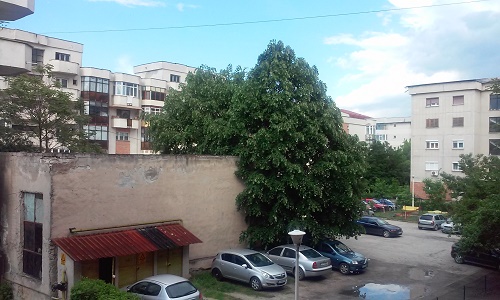 Azi despre ieri – 5 iunie 2016