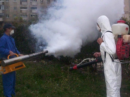 Campanie de dezinsecție pe domeniul public