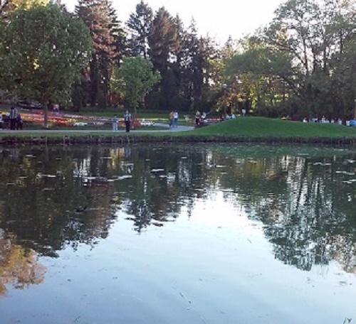 Azi despre ieri – 14 mai 2016