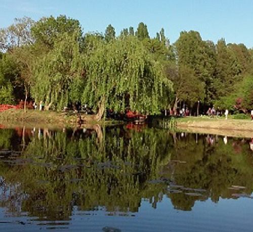 Azi despre ieri – 17 mai 2016