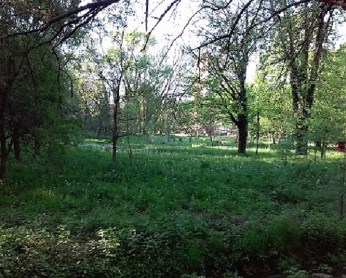 Azi despre ieri – 15 mai 2016