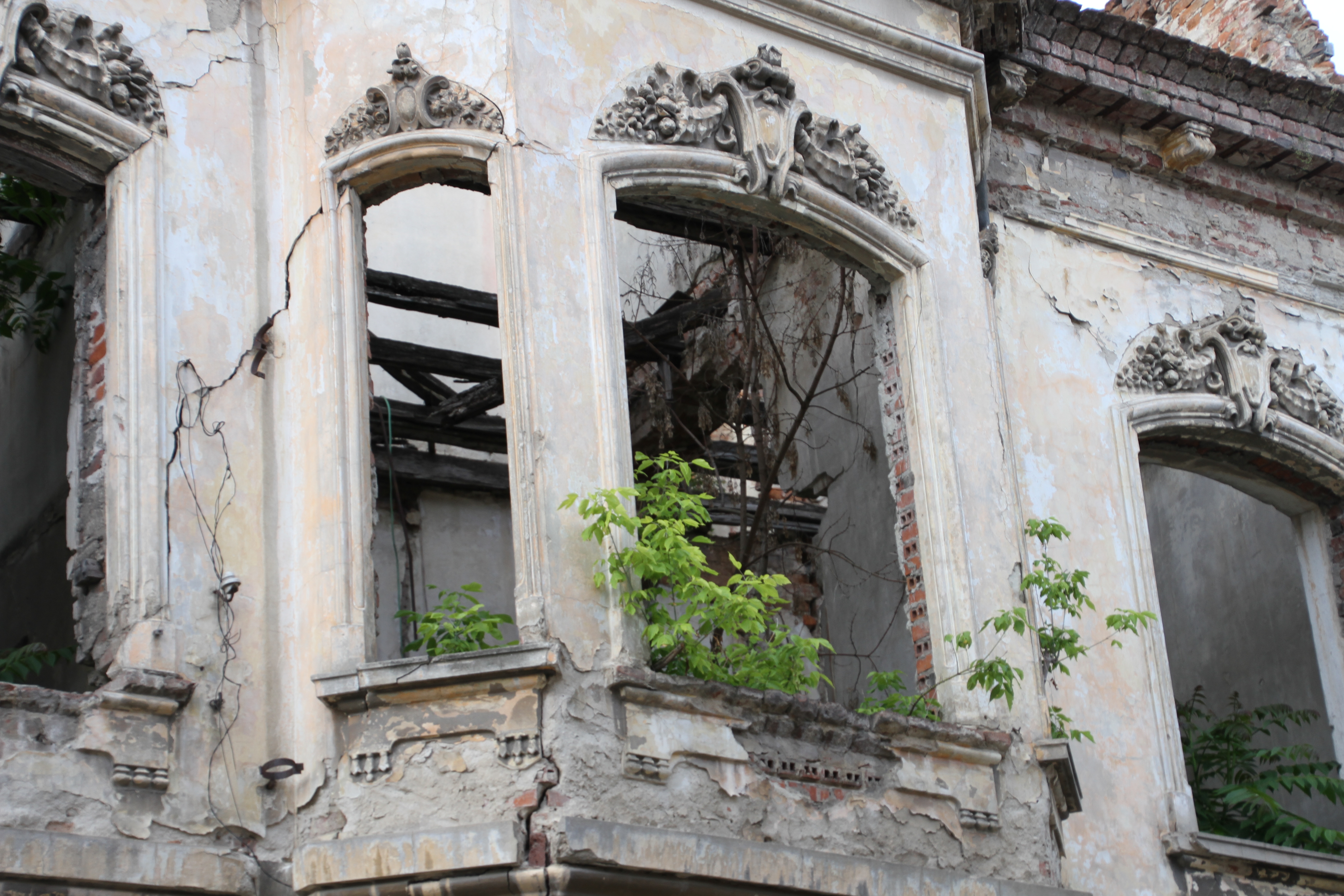 Poveştile clipei: „În firida nepăsării se ascund umilele cânturi ale iubirii”