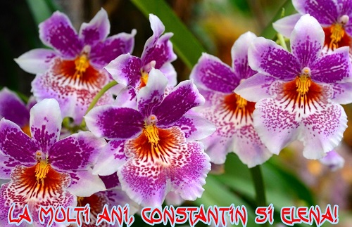 Sfinții Constantin și Elena, tradiții și superstiții