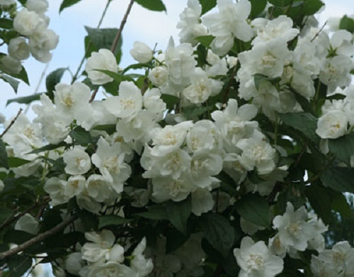 Vremea în Oltenia: 30 mai-5 iunie 2016