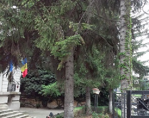 Azi despre ieri – 6 iunie 2016