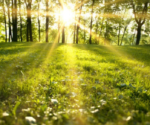 Vremea în Oltenia: 16-22 mai 2016