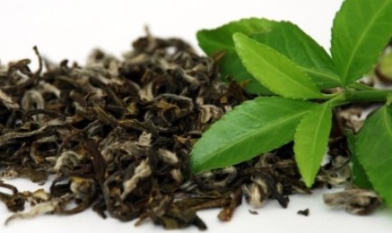 Cele mai vechi frunze de ceai