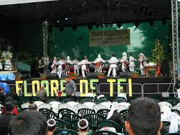 „Floare de Tei” la Corabia