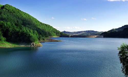 (Reportaj) Pleci la munte? Ai grija la serpi!