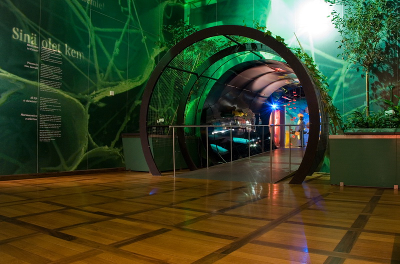 18 mai: Ziua Internationala a Muzeelor