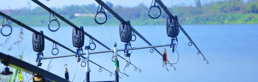 Pescuitul de sturioni, interzis în următorii cinci ani