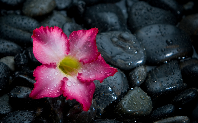 METEO Cod galben de vant si ploi!