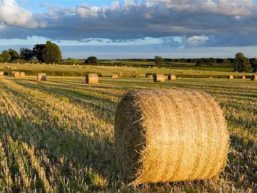 Străinii vor achiziționa mai greu terenuri agricole în România