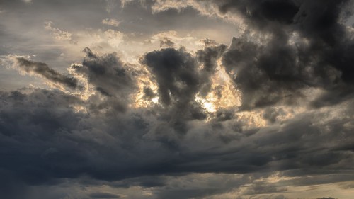 Cod galben în Gorj, Vâlcea și Olt