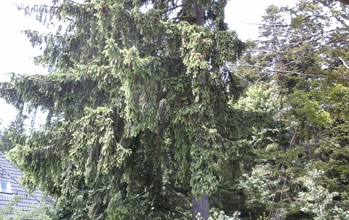 Azi despre ieri – 13 iulie 2016