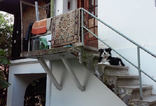 Azi despre ieri – 1 iulie 2016